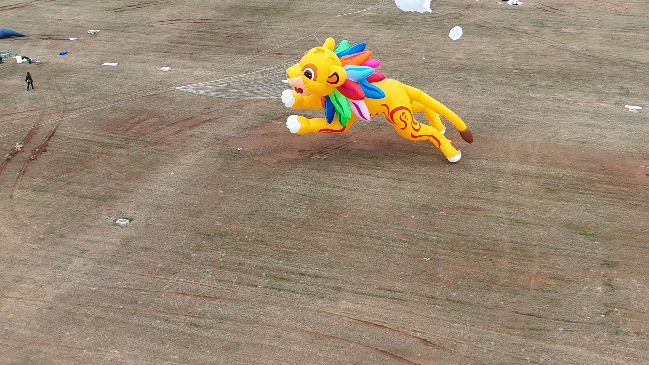 昭通市品牌风筝定制宣传风筝定制 - 排名